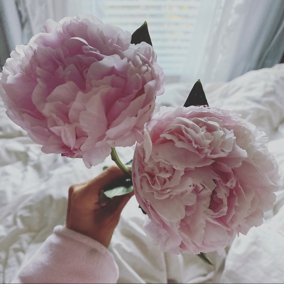 w e l c o m e 𑁍 - Picture 10 of 16